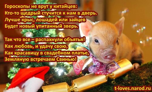 Новогодняя свинка