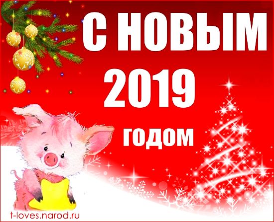 С годом Свиньи