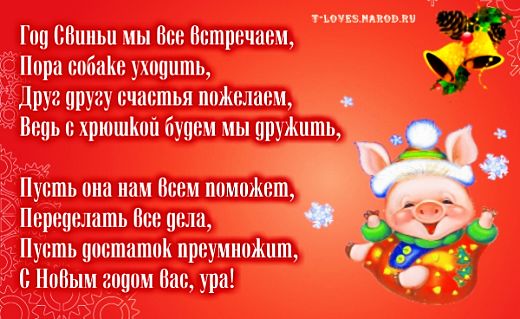 С Новым годом Свиньи